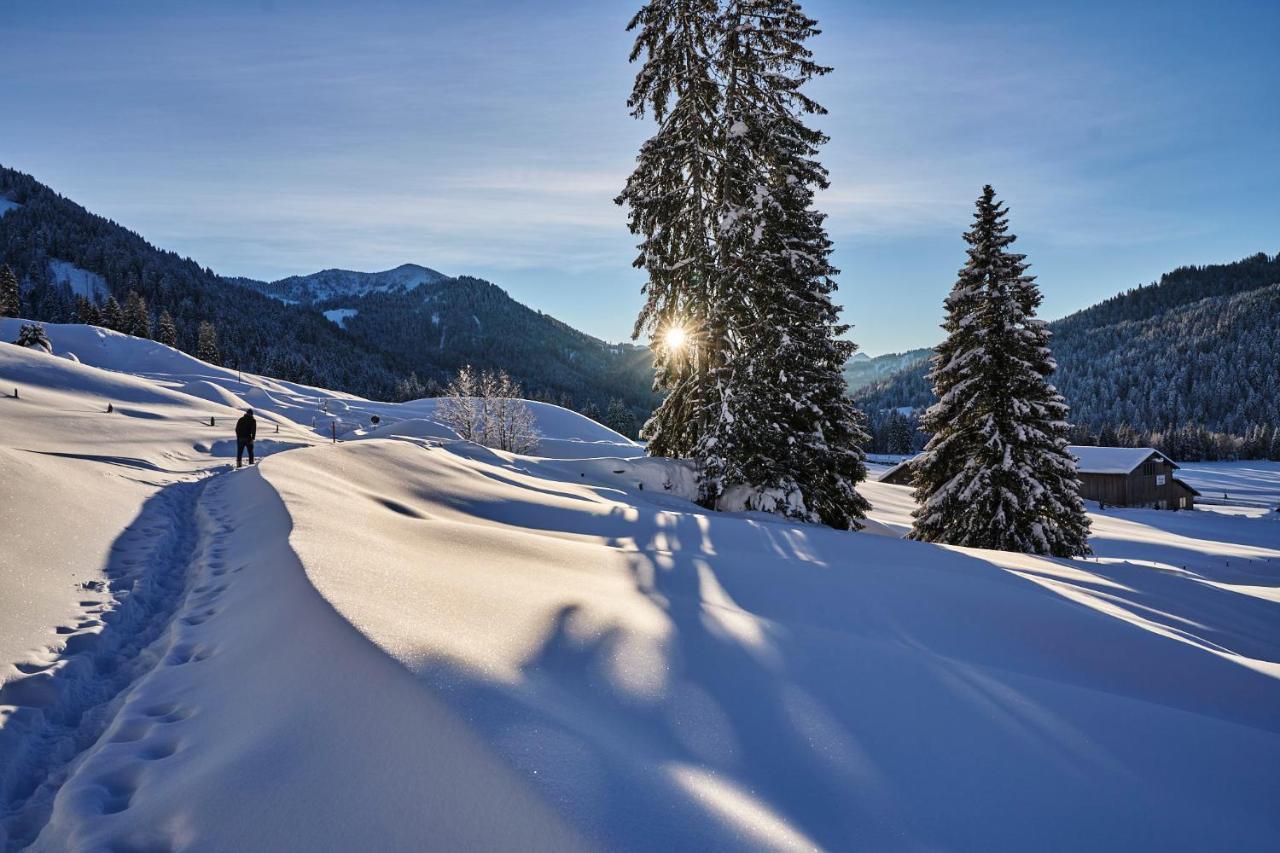 Hubertus Mountain Refugio Allgaeu Balderschwang Eksteriør bilde